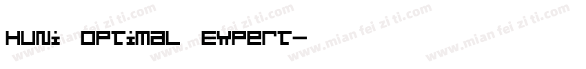 Huni_Optimal Expert字体转换